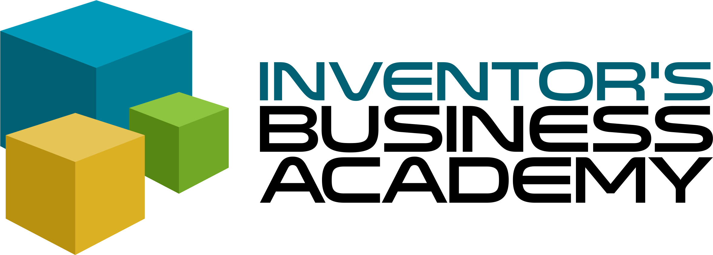 The Inventor's Business Academy